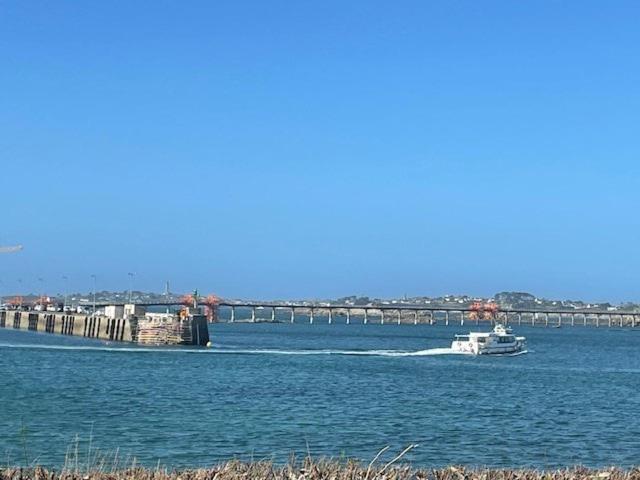 Le Vieux Port - Vue * Roscoff